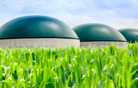 Biogas Production