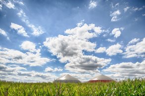 Energie aus biologischen Rohstoffen